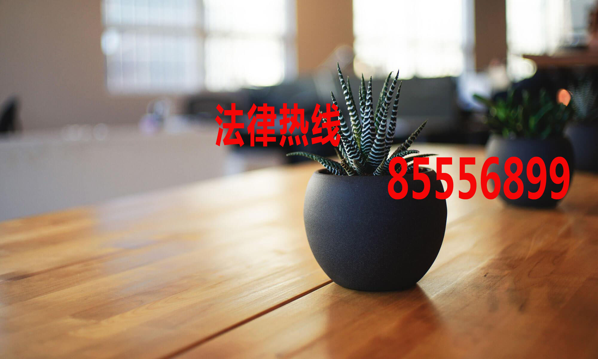 洞头律师15356291688_温州市洞头区律师